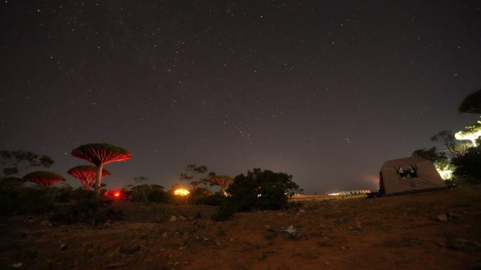 Campsite Firmihin Forest Socotra