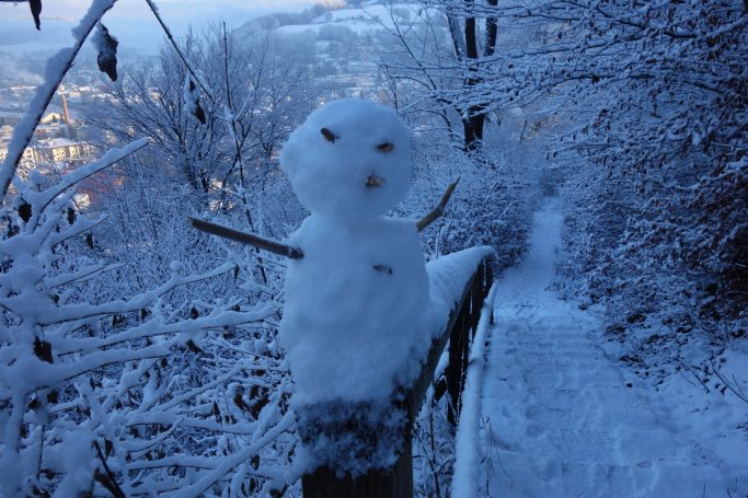 Salzburg (Christkindlmarkt)