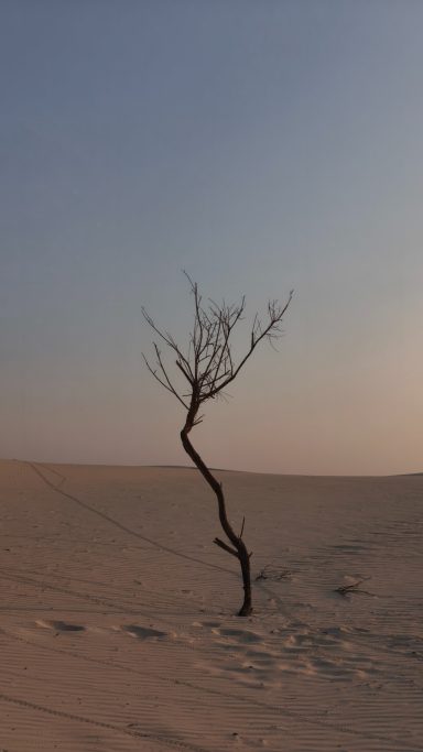 Zahek Sand Dunes Socotra