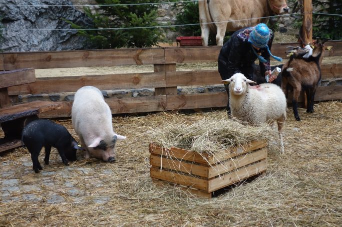 Les Féeries de Noël a Narbona